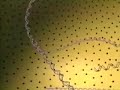 DNA Structure