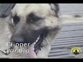 Bart & Associates national TV ad for JBMF! Thank You!! 