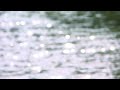 Hollywood Undead-young