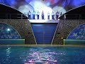 Shamu Christmas..Miracles part 4 Shamu Christmas..Miracles part 4
