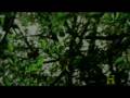 videos de History Channel - LHC  The Next BIG  Bang (part 4 of 5)