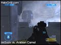 imsuck vs arabian camel