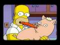 enVias feat, Homer - Spiderpig remix