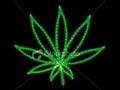 NEW-DIGGA-AWAY-GOES-