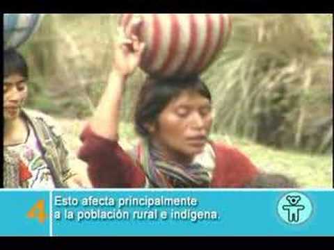 Ver Video