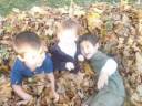 fall.wmv fall.wmv