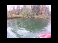Cowichan River Brown Trout Taking A Dry Fly - RamblingFisherman.com