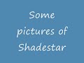 Some pictures of shadestar