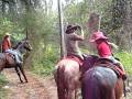 videos de Pee Break
