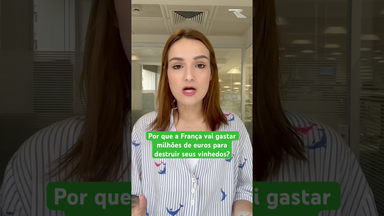 A França vai pagar milhões de euros para produtores destruírem seus vinhedos. Entenda!