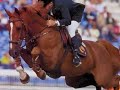 baloubet du rouet