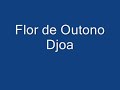 djoa flor de outono
