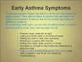 Asthma and Humidity, Asthma Air Purifier