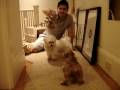 videos de kolbie, rralph & jeff