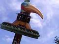 el volador de bellewaerde