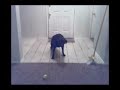 N73 Vs N95 Video Quality \"www.ViiP.cc\"