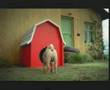 Hutch Vodafone India Ad