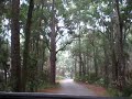 jungla2