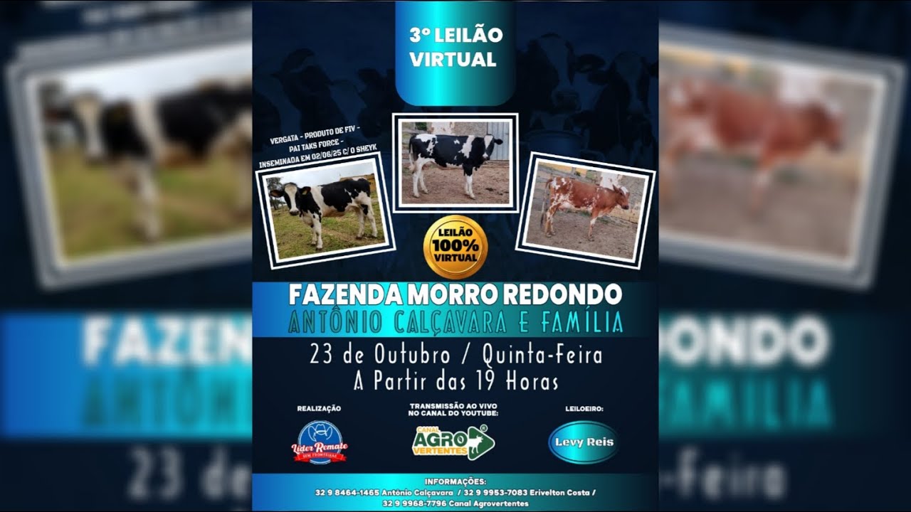 3º LEILÃO VIRTUAL FAZENDA MORRO REDONDO - ANTÔNIO CALÇAVARA & FAMÍLIA - 23/10/2025