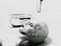 area 51 alien autopsy part 1