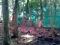 lee arlow & lee cursons paintball stag run
