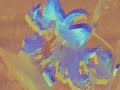 bUtTeRfLy kAlEiDoScOpE