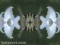 bUtTeRfLy kAlEiDoScOpE