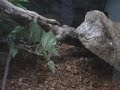 Northbay Animal Planet