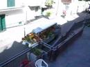 fruit/vegetable vendor