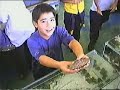 Acuarios Interactivos