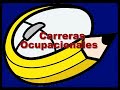Orientacion profesional - Escuela Virtual Backus