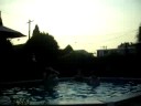 Pool Chicken! Pool Chicken!
