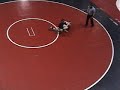 kellen-russell-vs-davy-salinger.html