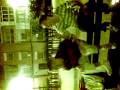 momento chungo xd