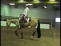 Buckskin AQHA World Class Gelding