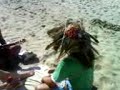 sayulita-2008.html