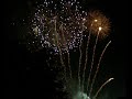 Bastille Day In France 4 (14 Jul 2008)