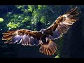 Shanice - Fly Away (Whistle ending)