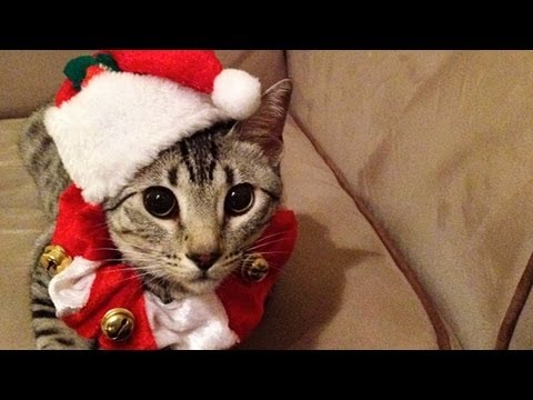 pvp - Follow us on Twitter: http://twitter.com/PhillyChic5 http://twitter.com/JesseWelle Facebook: http://facebook.com/prankvsprank Follow me on Keek - http://www....