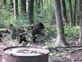 Black Bear Hunting in NW Ontario Canada