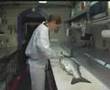 Colette and a Wild King Salmon