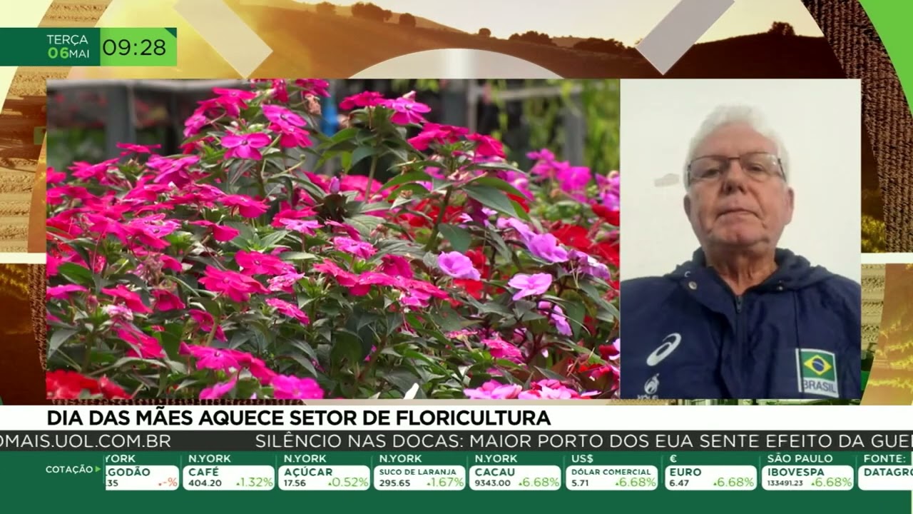 Dia das mãe aquece setor de floricultura