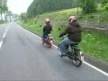 Video von Schameder