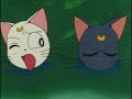 Sailor Moon SS-142 A (audio latino por Anmexiars)