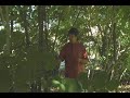 Growing Windbreaks at Trees That Please Growing Windbreaks at Trees That Please