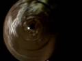 videos de Moodymann - Wednesday Night People PFG003