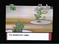 Pokemon Diamond and Pearl Wi-Fi Battles: Vaizard_Bankai