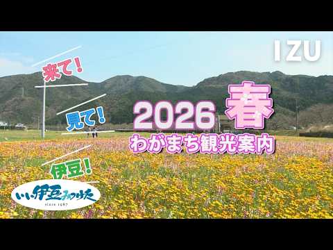 <br />
<b>Warning</b>:  Undefined property: Custom_Field_Suite::$get in <b>/home/xb588889/ikctv.com/public_html/main/wp-content/themes/IKCTV_Theme/parts/parts-archivecard_movie.php</b> on line <b>7</b><br />
<br />
<b>Warning</b>:  Trying to access array offset on null in <b>/home/xb588889/ikctv.com/public_html/main/wp-content/themes/IKCTV_Theme/parts/parts-archivecard_movie.php</b> on line <b>7</b><br />
