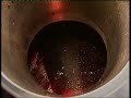 Jos� Maria da Fonseca - Vinhos (Portugal)