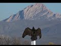 Cerro Blanco. Peñon Blanco Durango Mex